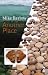 Another Place (Salt Modern Poets)