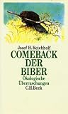 Produkt-Bild: Comeback der Biber. &Ouml;kologische &Uuml;berraschungen