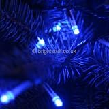 100 Blue LED Lights, Green Wire, Multi-Function Controllerr, outdoor transformer and controller - indoor or outdoor Christmas lights