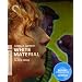 White Material (The Criterion Collection) [Blu-ray]