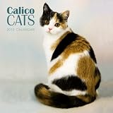 Calico Cats 2010 Wall Calendar