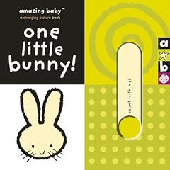One Little Bunny (Amazing Baby)