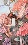 Flower Fairies Decorative Switchplate Cover