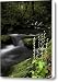 Bishop's Cap on Big Creek Canvas Print / Canvas Art - Artist Rob Travis
