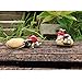 Top Collection Miniature Fairy Garden and Terrarium Garden Gnome Hard at Work Pulling Rocks