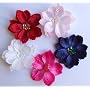Phoebe Girls Hair Clip