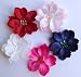 Phoebe Girls Hair Clip