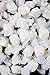 Gourmet 3lb Bag of Salt Water Taffy by eTaffy (Vanilla)