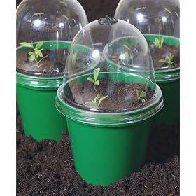 Mini Propagators - pack of 12 Bell Boy propagators
