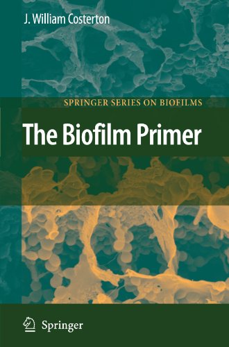 The Biofilm Primer (Springer Series on Biofilms)