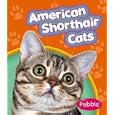 American Shorthair Cats (Pebble Books)
