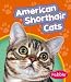american shorthair - American Shorthair Cats (Pebble Books)