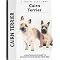 Cairn Terrier (Kennel Club Dog Breed Series) (Hardcover)