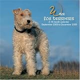 Wire Fox Terriers 2009 Wall Calendar