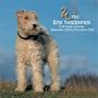 Wire Fox Terriers 2009 Wall Calendar