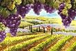 Vineyard Views Placemat