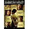 American Violet
