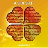 A SIDE SPLIT Vol.4~sunrise field~