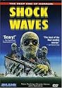 Shock Waves