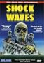 Shock Waves