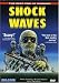 Shock Waves
