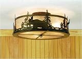 Flush Mounted Light Fixtures