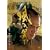 ���̉ʂ� [DVD]
