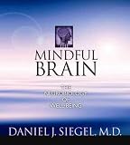 The Mindful Brain: The Neurobiology of Well-being