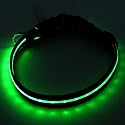 2-TECH LED Hundehalsband in GR&Uuml;N 2. Generation 64 cm 2,5 cm breit - Halsumfang 42 bis 64 cm