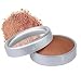 Stila Illuminating Finishing Powder - Bronze