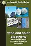 Wind and solar electricity : a practical DIY guide