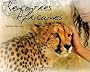 Rencontres africaines