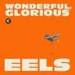Wonderful, Glorious [Edition Limit�e]