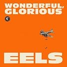 Wonderful,Glorious (Deluxe Edition)