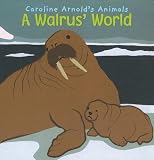 A Walrus