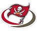 Tampa Bay Buccaneers Car Magnet Decal (12 -inch)