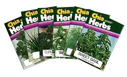 Chia Herb Garden Seeds, 6 Varieties Of Seeds, Basil, Dill, Parsley, Cilantro, Marjoram, Chives (Pack of 2)