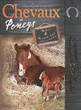 Chevaux et Poneys : Un livre + un superbe cheval en bois � construire