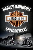 Empire 346346 Harley Davidson Leather Poster Plakat - 61 x 91.5 cm