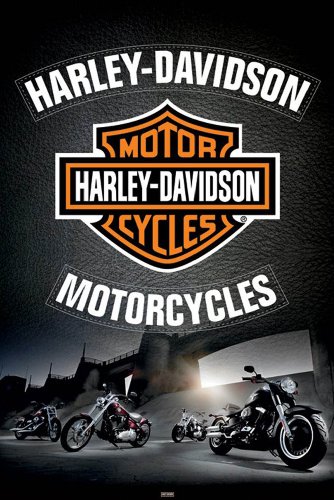 Empire 346346 Harley Davidson Leather Poster Plakat - 61 x 91.5 cm Preisvergleich