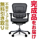 エルゴヒューマンプラス　完成品　ロータイプ　グレー　Ergohuman plus ＥＨＰ－ＬＡＭ　ＫＭ－10の画像