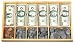 Melissa & Doug Play Money Set