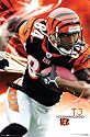 Cincinnati Bengals- TJ Houshmandzadeh Entertainment Poster Print, 22x34