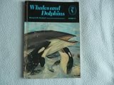 Whales and dolphins