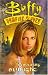 Buffy the Vampire Slayer Vol. 2: The Remaining Sunlight