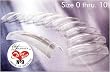 Lamour Clear Tips 50pcs/bag