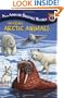 Amazing Arctic Animals (GB) (All Aboard Science Reader)