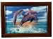 Holographic - Dolphins 27.5