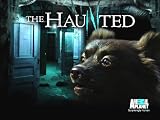 play video on Amazon Instant Video
