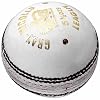 Buy Cricket - Gray-Nicolls Leather League 5.5 Ounce Cricket Ball
